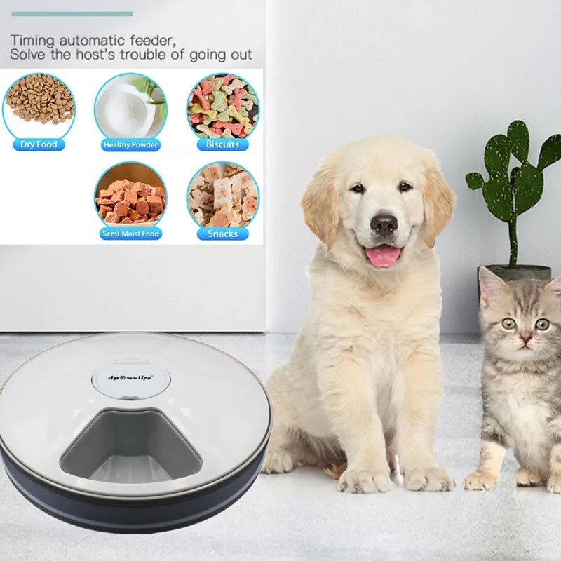 6-Meal Auto Pet Feeder